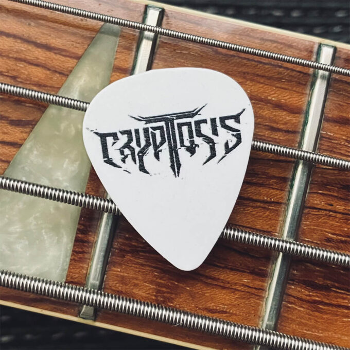 Guitar picks - F (2pcs)